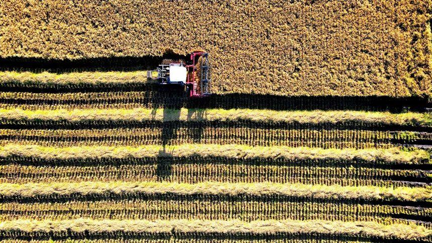 这，就是丰收中的黑龙江休闲区蓝鸢梦想 - Www.slyday.coM