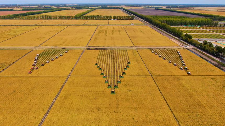 这，就是丰收中的黑龙江休闲区蓝鸢梦想 - Www.slyday.coM