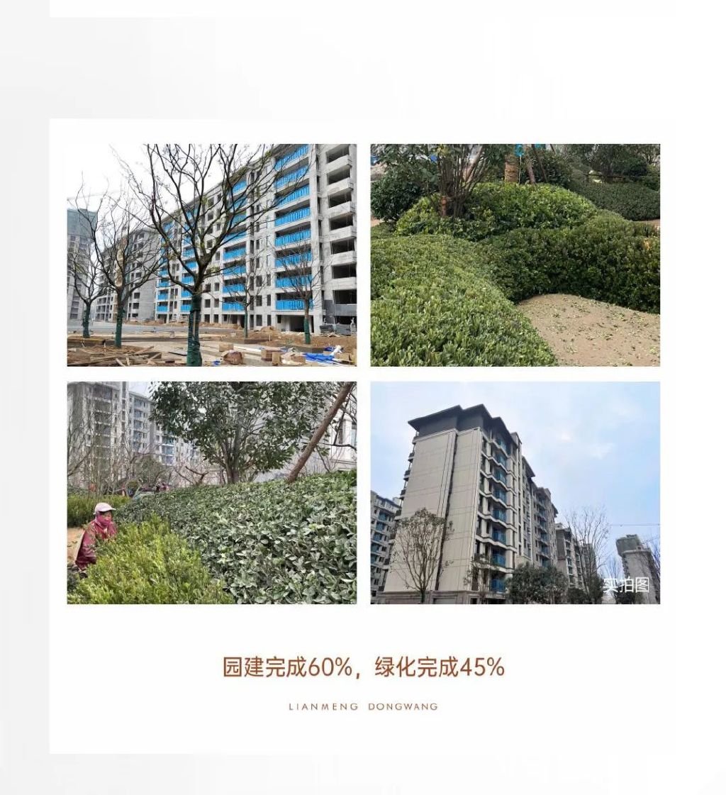 柘城建业联盟东望1月工程播报 丨辞旧迎新 家书传情