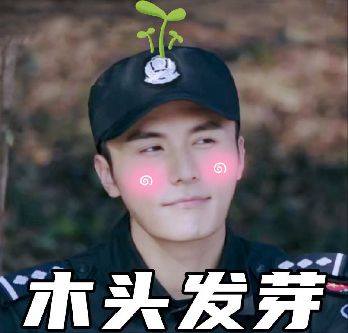 你是我的城池营垒剧名很难记但马思纯白敬亭谈恋爱也太甜了