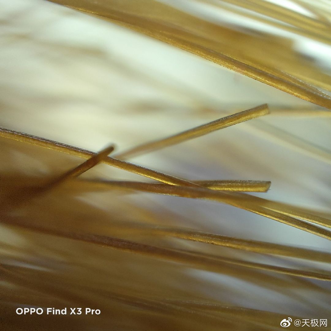 oppo find x3 系列这次60x的显微镜可真是够玩儿一阵了~……__财经