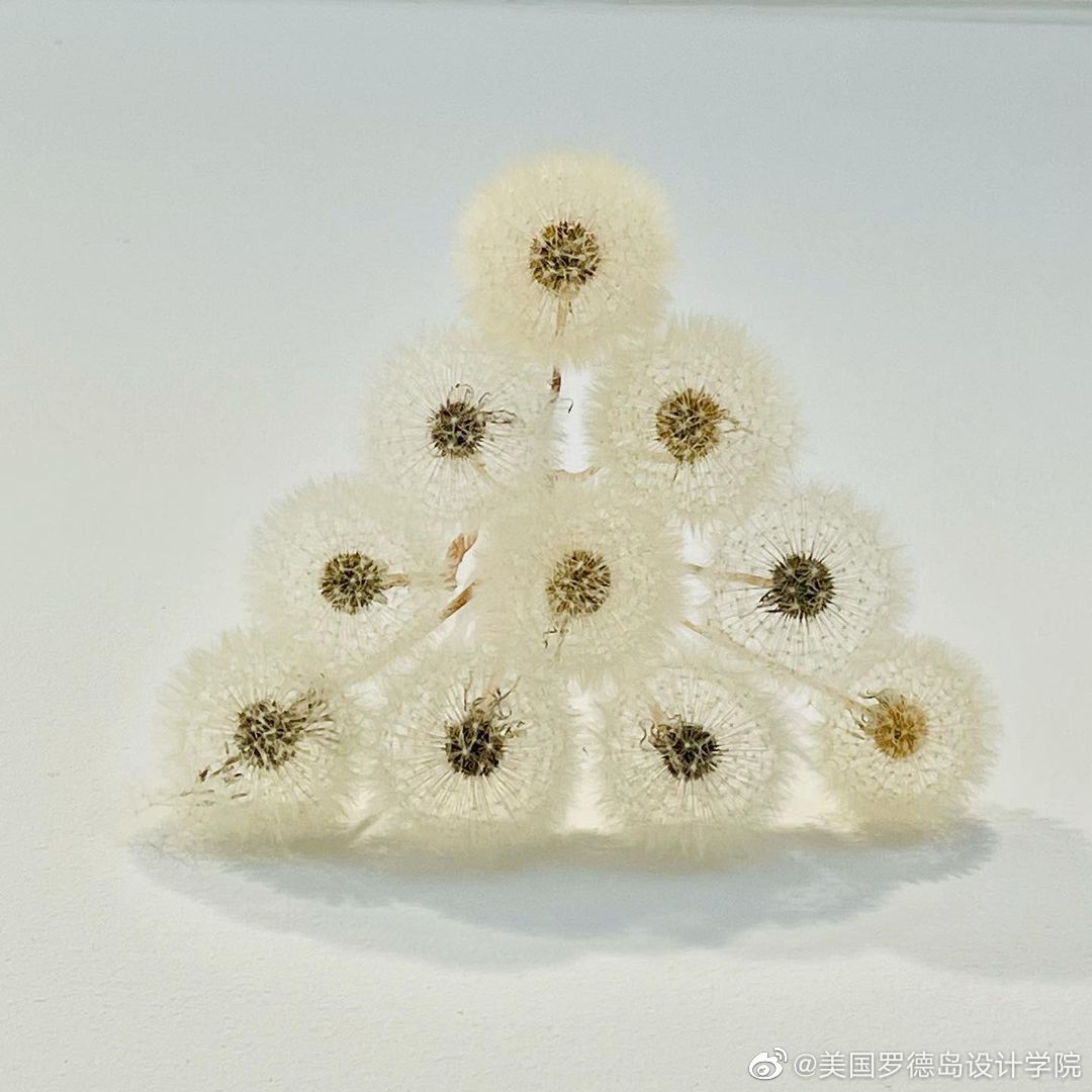 艺术家用植物,种子,花卉来创作的精美绝伦的艺术品__财经头条