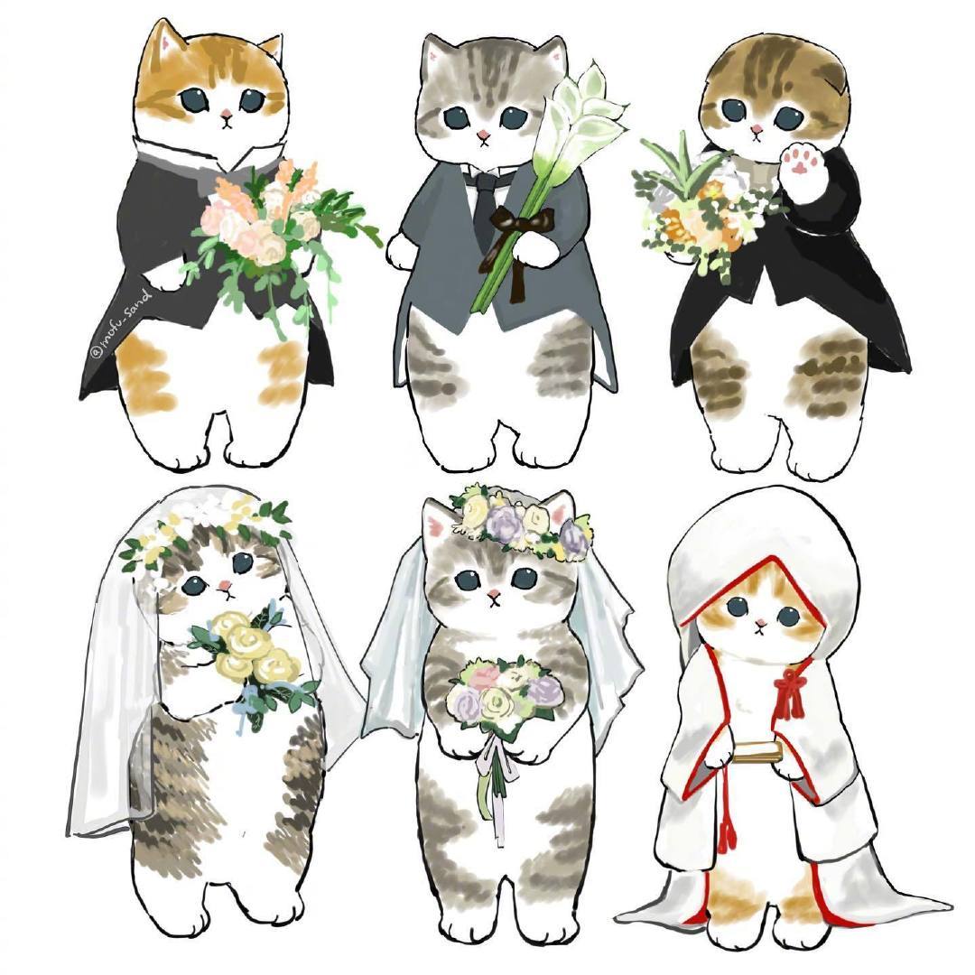 治愈系猫猫__财经头条