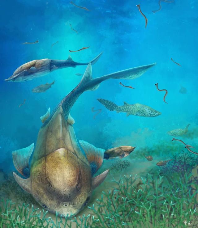 艺术与科学的碰撞带你走近古生物复原图的世界复原图画师杨定华专访