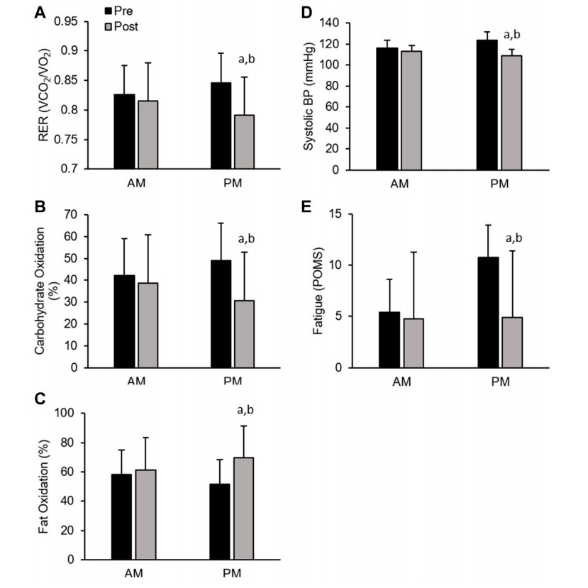 一天中什么时间运动最减肚子?休闲区蓝鸢梦想 - Www.slyday.coM 一天中什么时间运动最减肚子?休闲区蓝鸢梦想 - Www.slyday.coM