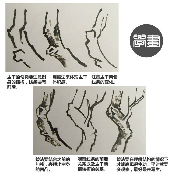 看图学画树的画法