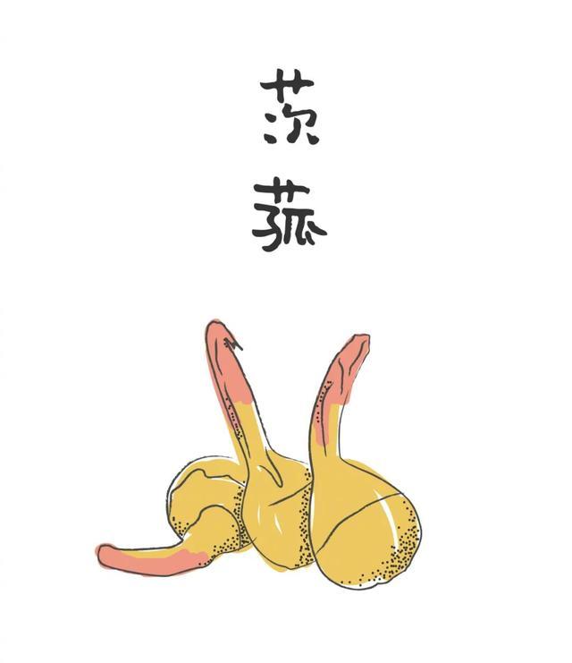 秋季最鲜的江南水八仙吃它正笔