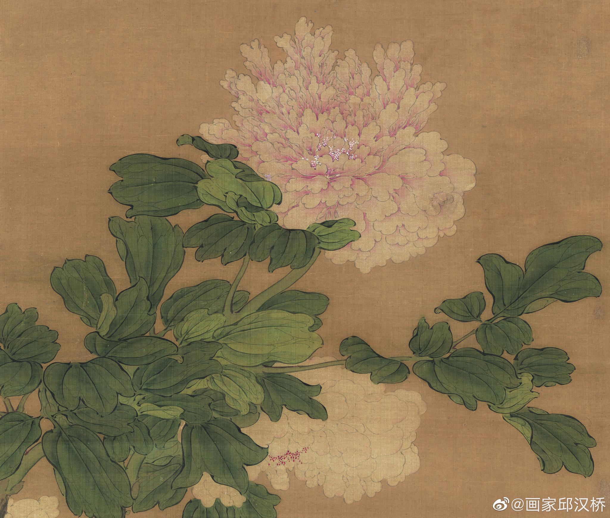 牡丹明代樊圻绢本设色纵1684厘米横464厘米