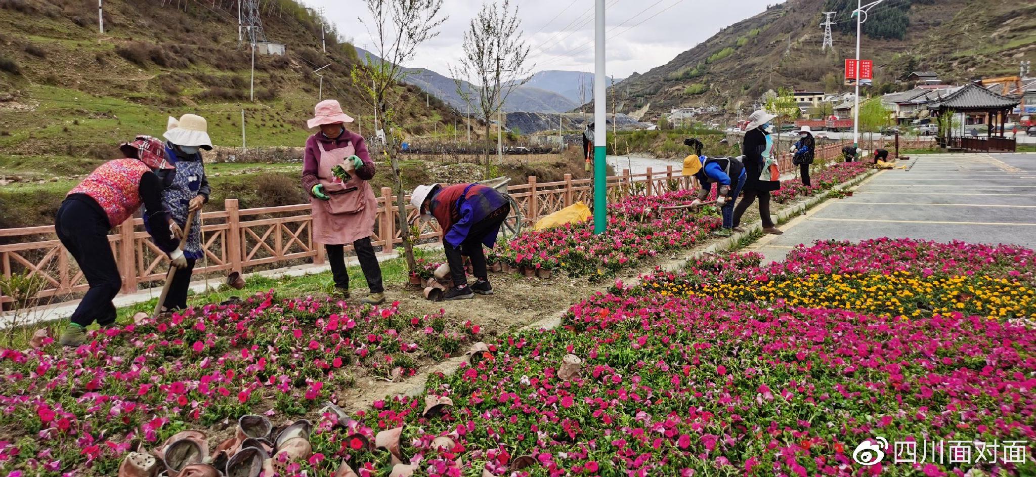 四川松潘县十里乡打造"美丽乡村61十里繁花"生态宜居乡风文明之乡