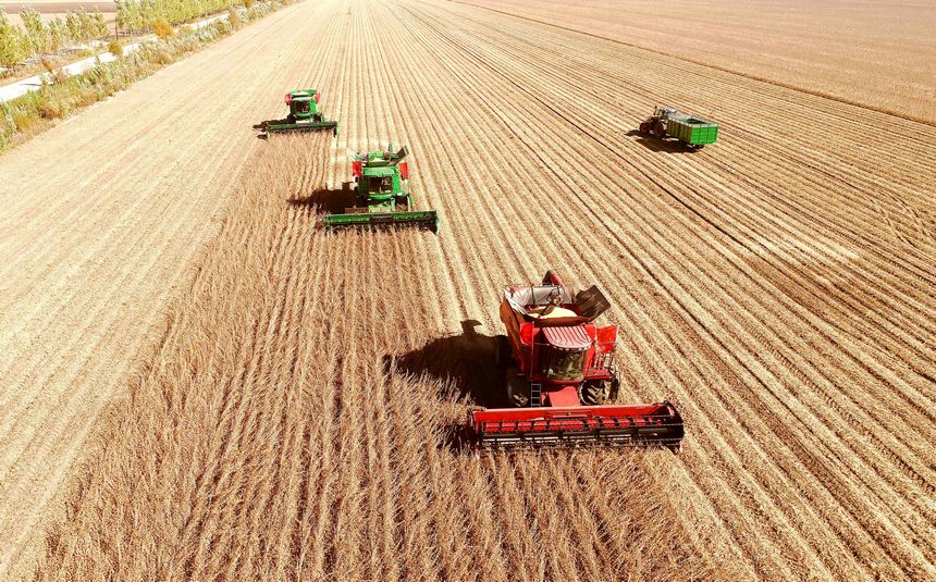 这，就是丰收中的黑龙江休闲区蓝鸢梦想 - Www.slyday.coM