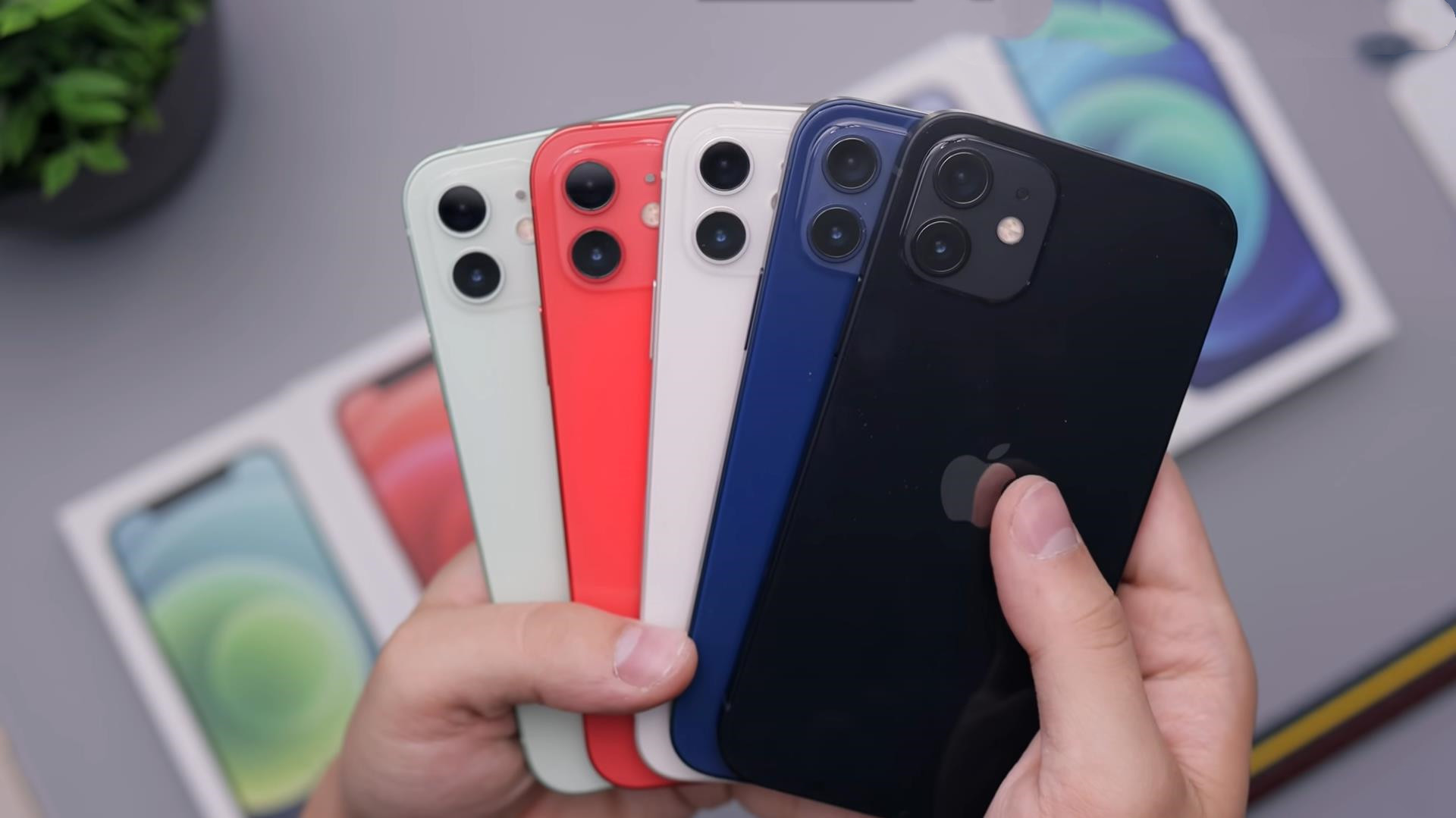 5款颜色iphone12真机对比:红色鲜亮黑色深沉,但是廉价感十足