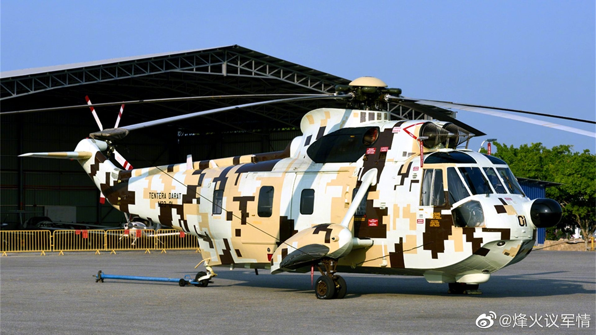 个人觉得数码迷彩并不适合直升机