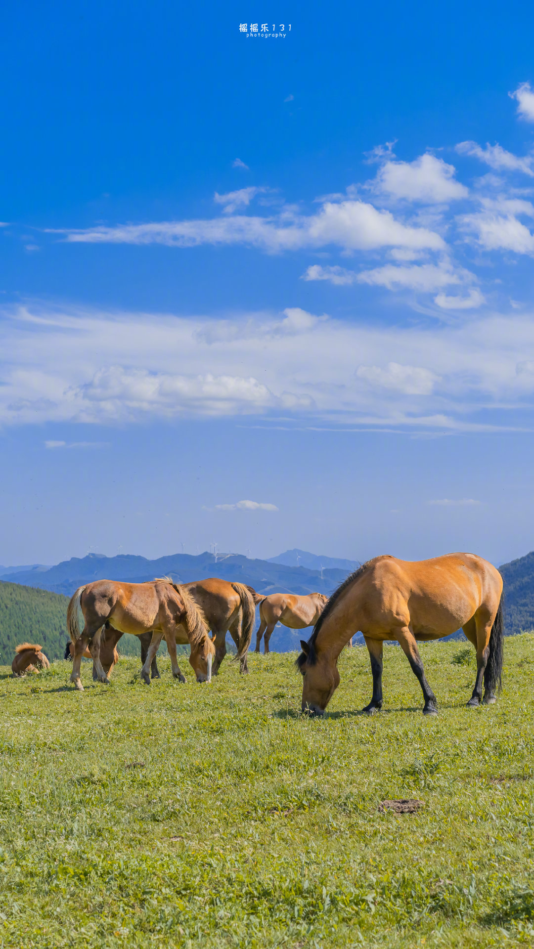 重生毒妃狠绝色