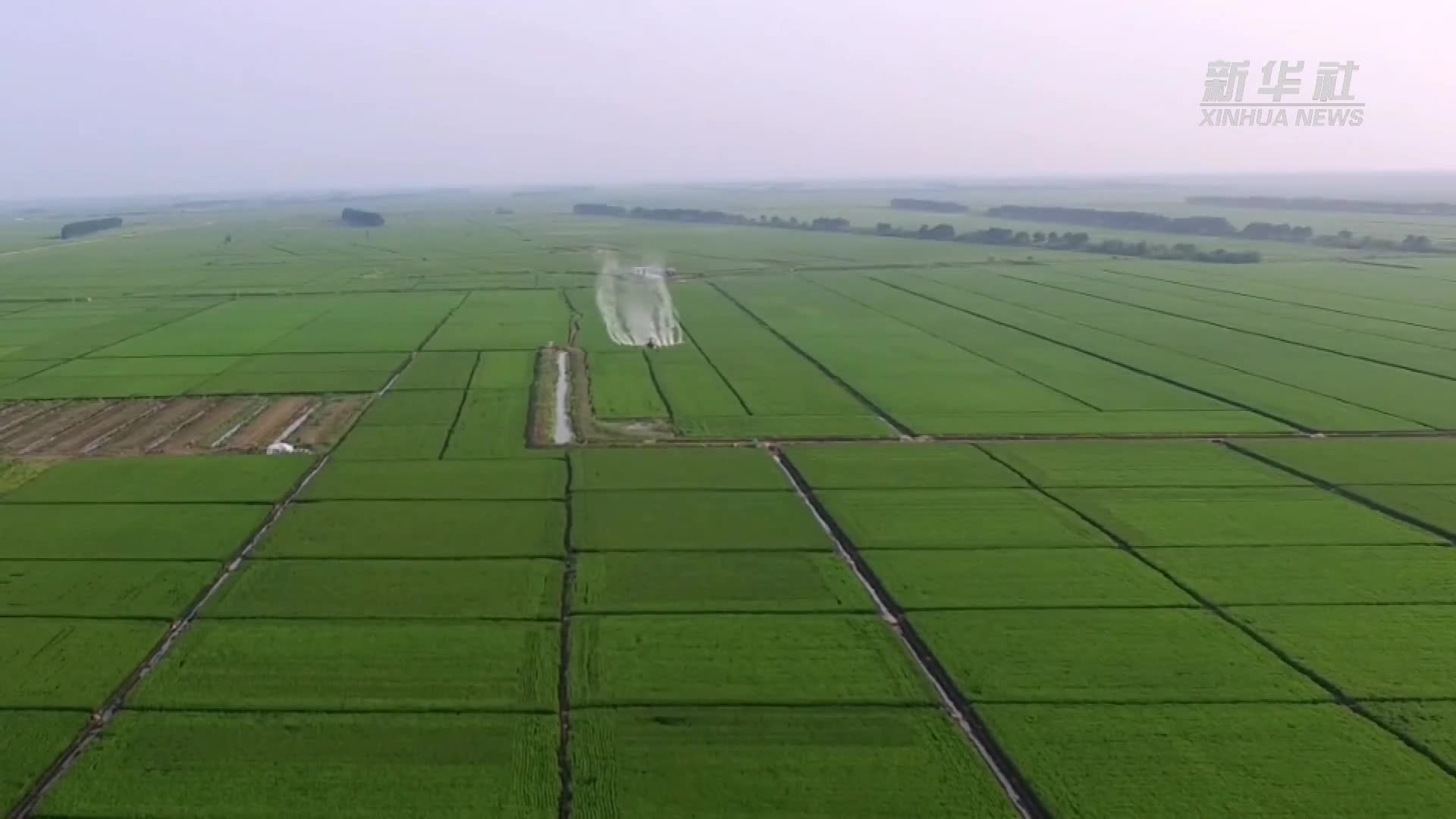 震撼!看建三江千万亩水田飞机航化"无人"作业