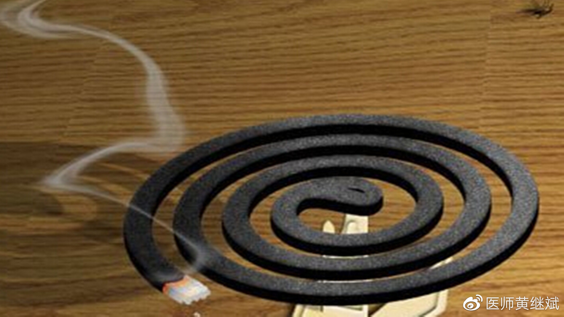 蚊子怕蚊香什么原理,蚊子怕蚊香什么原理图片