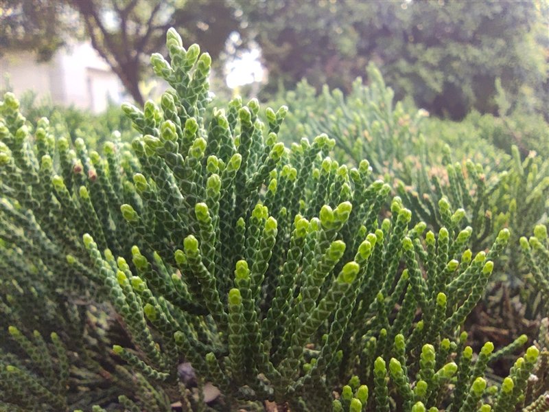 100％好评的秘密找到了！Redmi K40S评测：手抖党的福音休闲区蓝鸢梦想 - Www.slyday.coM