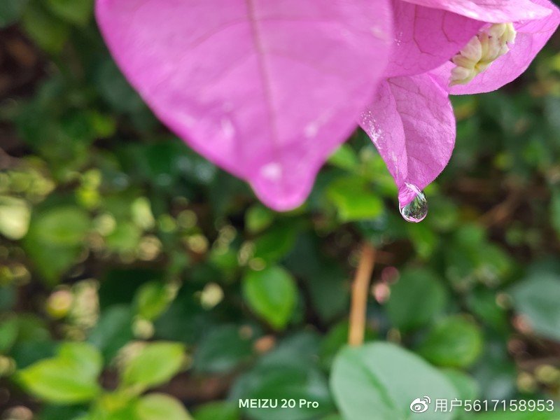 测试软件probe测试不出手机的信号强度_屏幕测试软件_软件测试手机屏幕材质