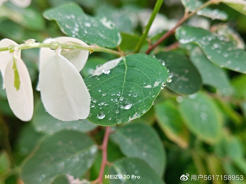 软件测试手机屏幕材质_屏幕测试软件_测试软件probe测试不出手机的信号强度