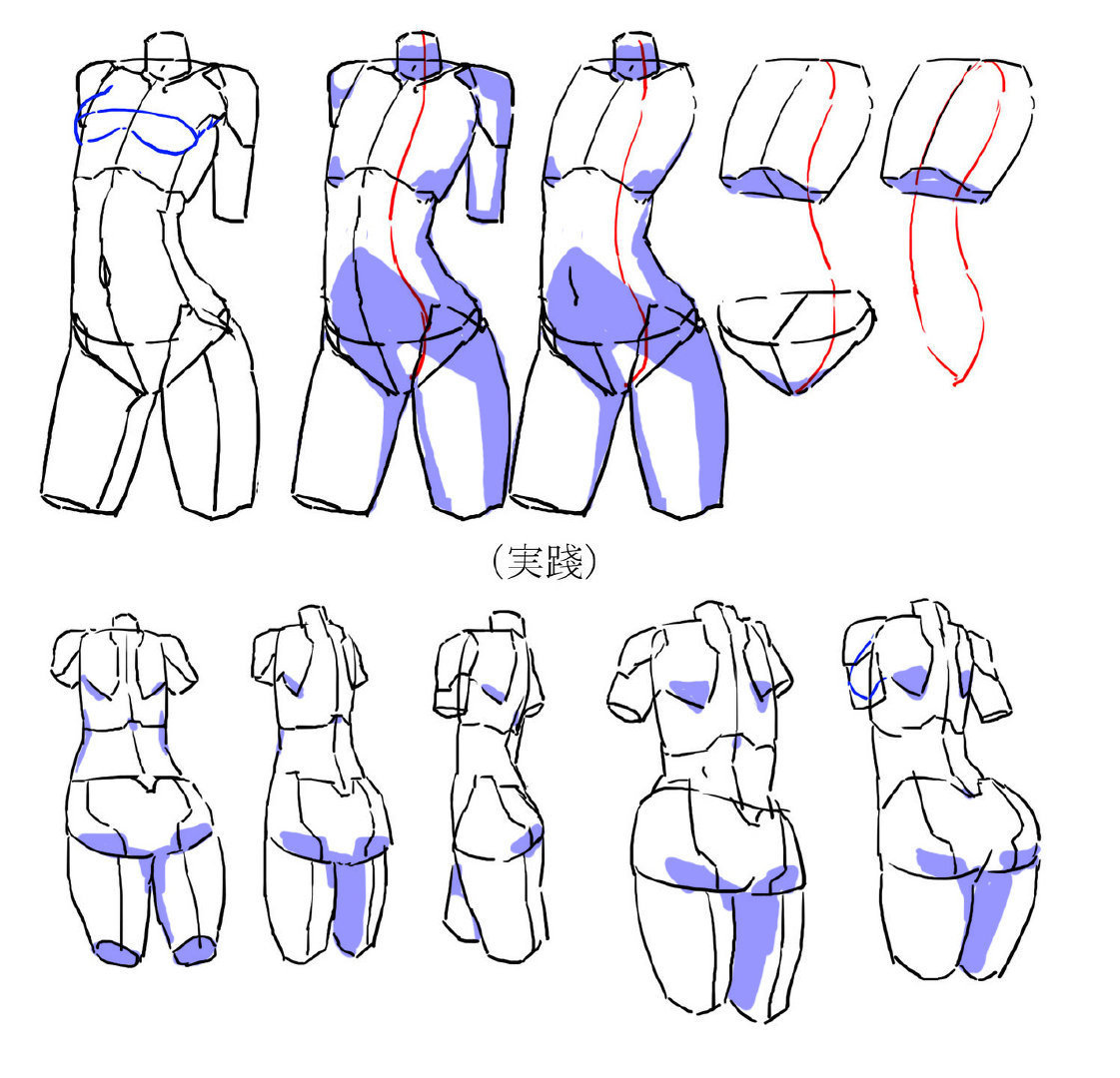 女性躯干简化的绘制方法