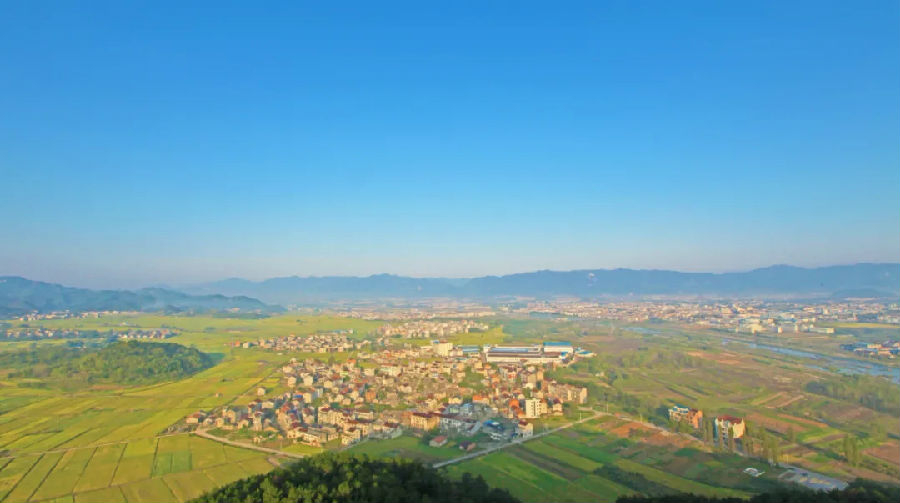 台州市天台县平桥镇高质量创建五星级便民服务 助力美丽城镇建设|平桥