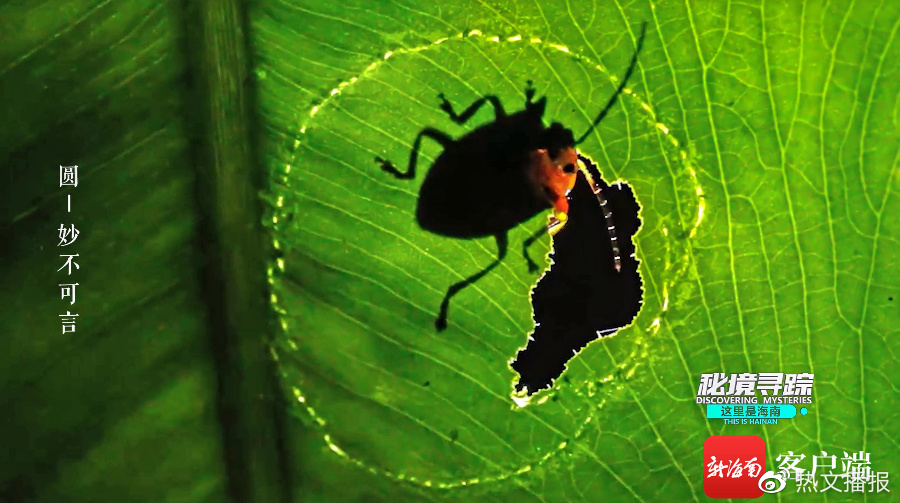 惠阳淡水150元的爱情巷弄探秘：那些藏在老街里的烟火与温存