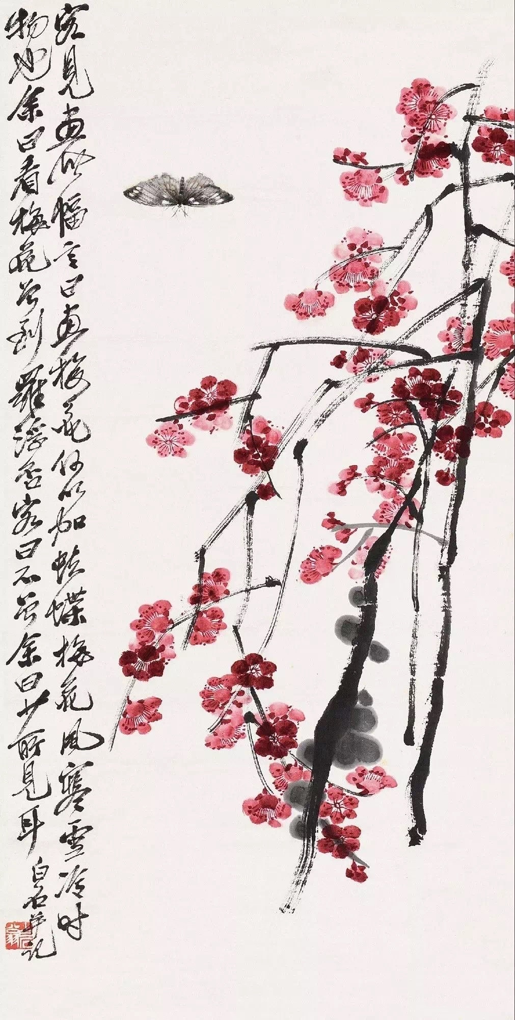 齐白石老人画梅花艳丽清新