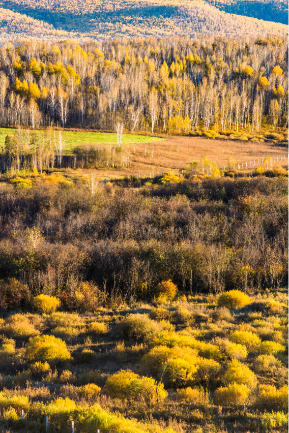 一个夏天都没出门？不如做一回“第一个看秋色的人”，可好？休闲区蓝鸢梦想 - Www.slyday.coM