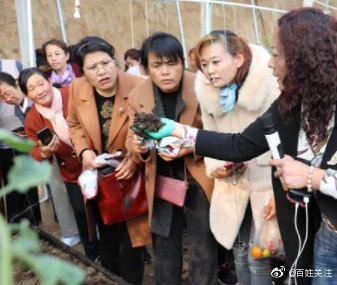 南大博士放弃200万年薪回村养蚯蚓,把蚯蚓变成千万级企业!休闲区蓝鸢梦想 - Www.slyday.coM 南大博士放弃200万年薪回村养蚯蚓,把蚯蚓变成千万级企业!休闲区蓝鸢梦想 - Www.slyday.coM