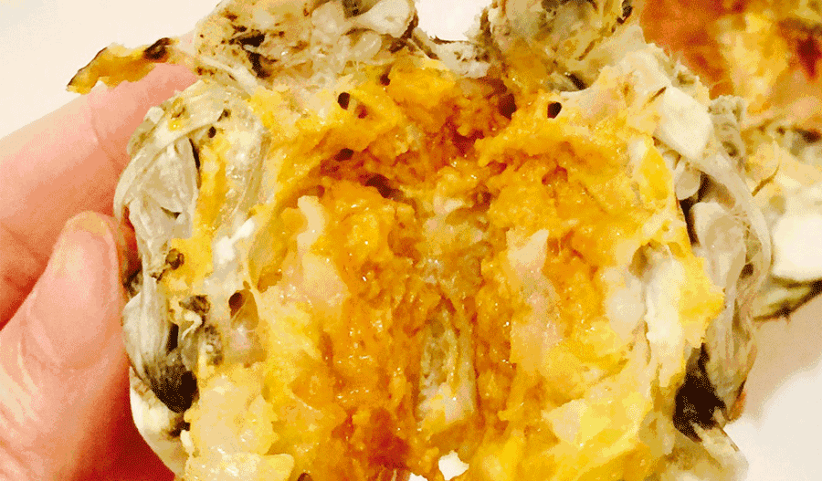 花盖蟹——个头不大,可味道极鲜美赤甲红——大连螃蟹中的巨无霸十月