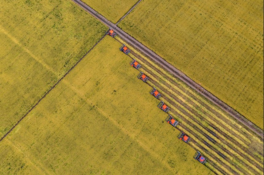 这，就是丰收中的黑龙江休闲区蓝鸢梦想 - Www.slyday.coM