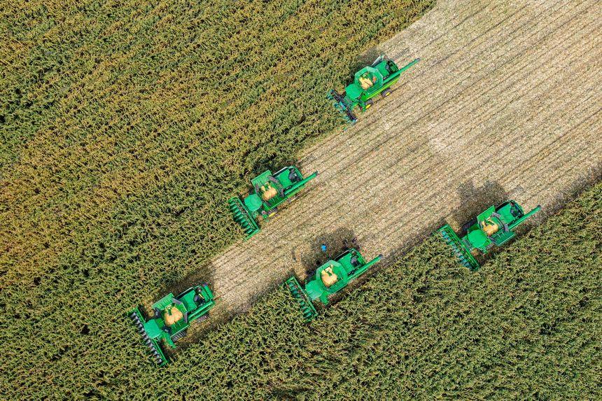 这，就是丰收中的黑龙江休闲区蓝鸢梦想 - Www.slyday.coM