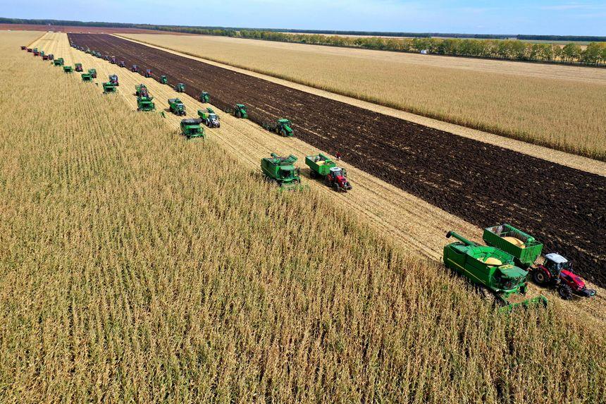 这，就是丰收中的黑龙江休闲区蓝鸢梦想 - Www.slyday.coM