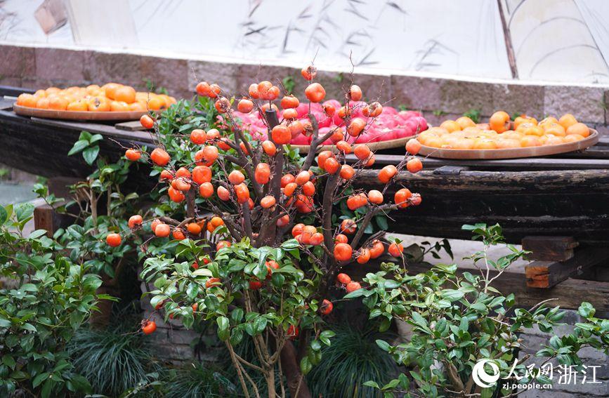 杭州：西溪湿地秋景怡人美如画休闲区蓝鸢梦想 - Www.slyday.coM