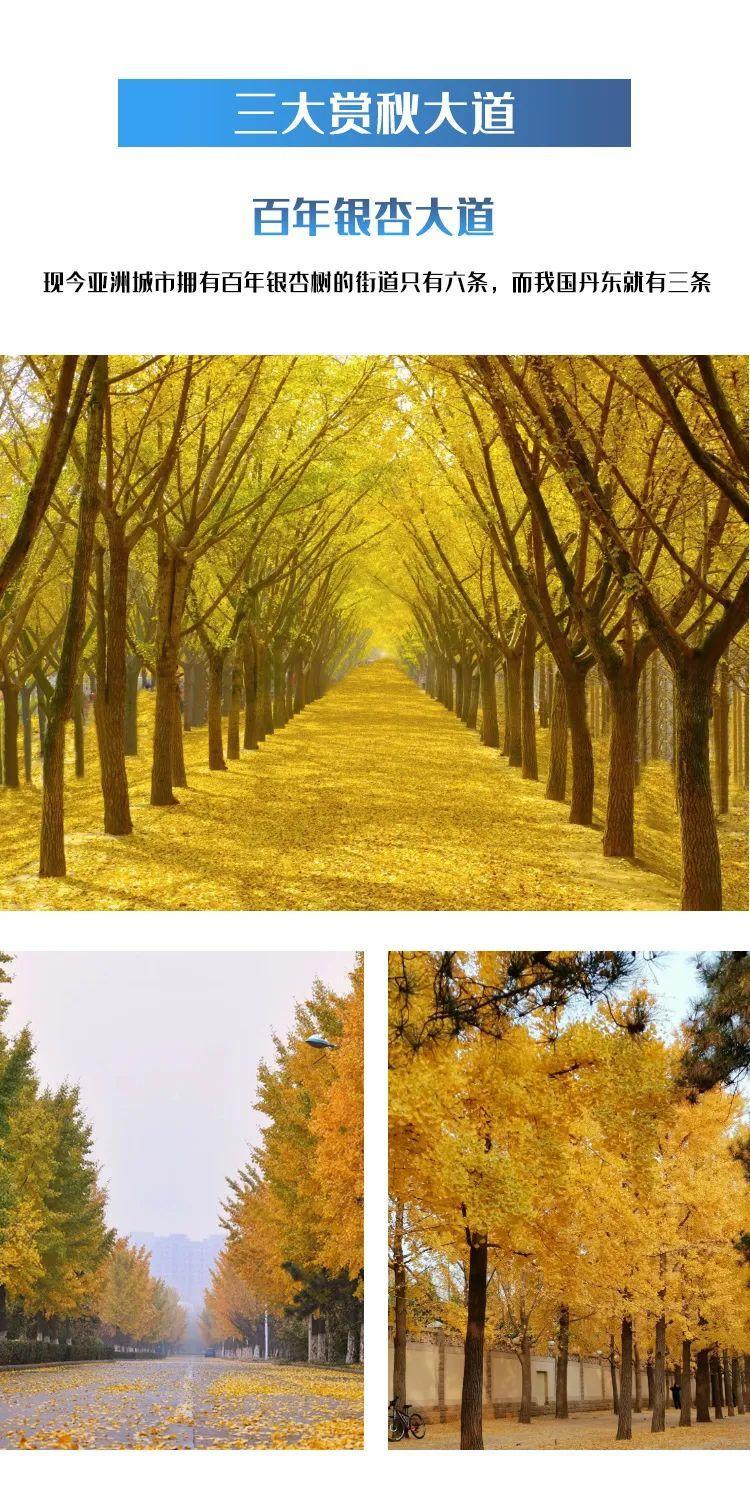 一个夏天都没出门？不如做一回“第一个看秋色的人”，可好？休闲区蓝鸢梦想 - Www.slyday.coM