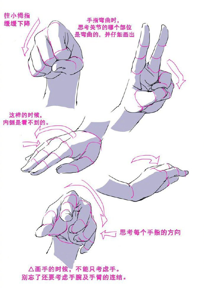各种手的姿势和动作的画法!拿去练习吧,转需~