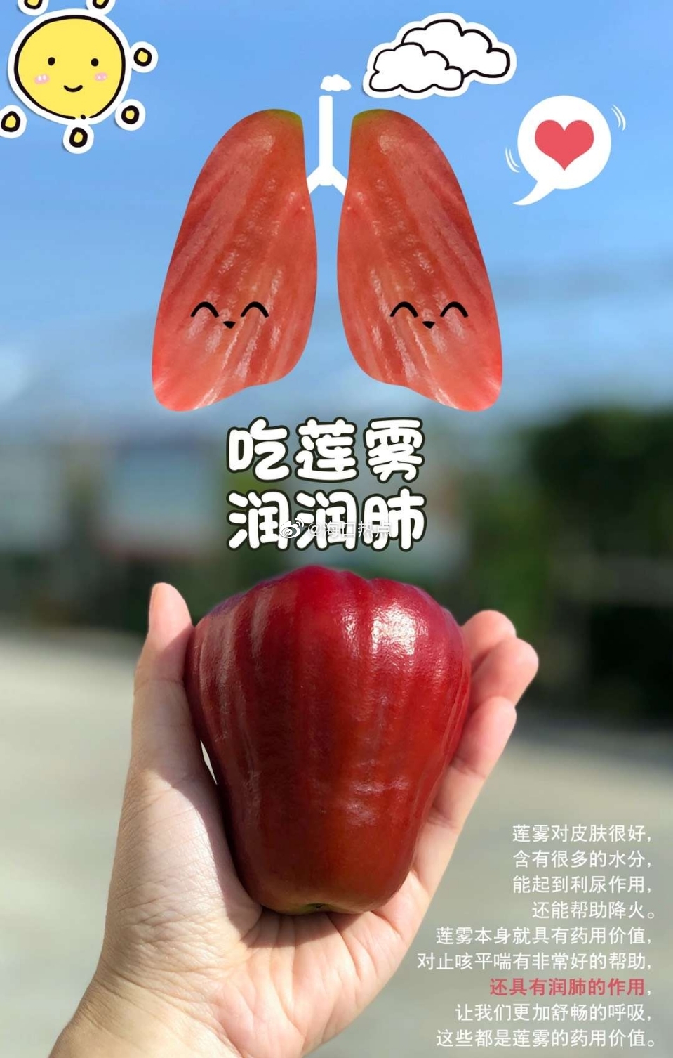 吹弹可破的表皮,包裹着满满的水能量,清润清爽,汁水充盈