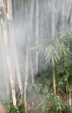 1100万粉丝的“垫底辣孩”塌房?作品被骂,最新一期竟逆风翻盘!休闲区蓝鸢梦想 - Www.slyday.coM 1100万粉丝的“垫底辣孩”塌房?作品被骂,最新一期竟逆风翻盘!休闲区蓝鸢梦想 - Www.slyday.coM