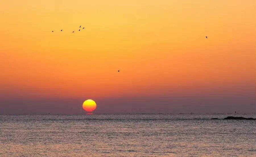 你喜欢阳光一定要来日照的海边看旭日东升 67 67"太阳初出光赫赫