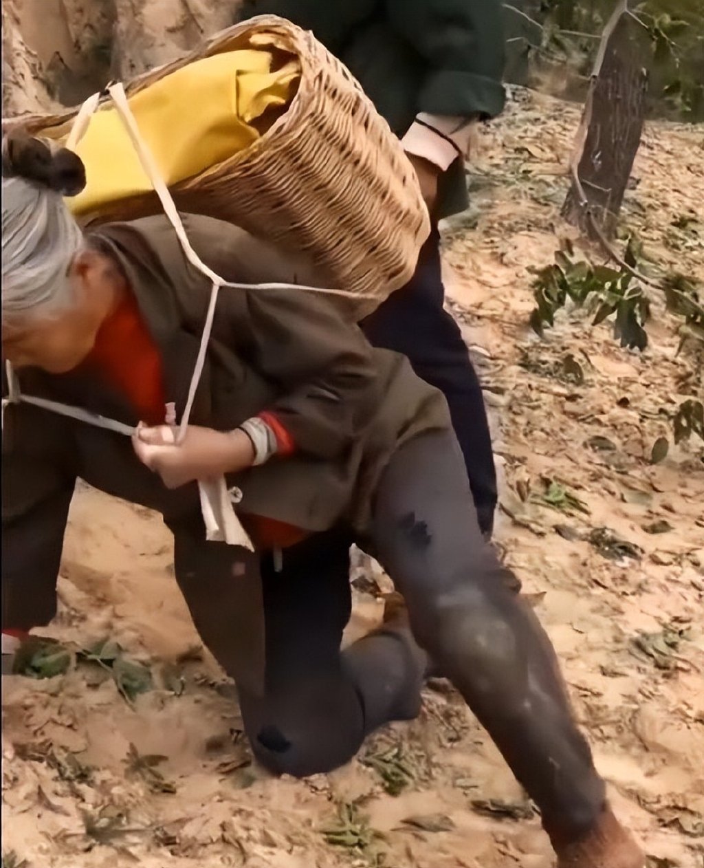 《隐入尘烟》拍得太假,故意丑化农村?真实情况让人看了更心酸休闲区蓝鸢梦想 - Www.slyday.coM 《隐入尘烟》拍得太假,故意丑化农村?真实情况让人看了更心酸休闲区蓝鸢梦想 - Www.slyday.coM