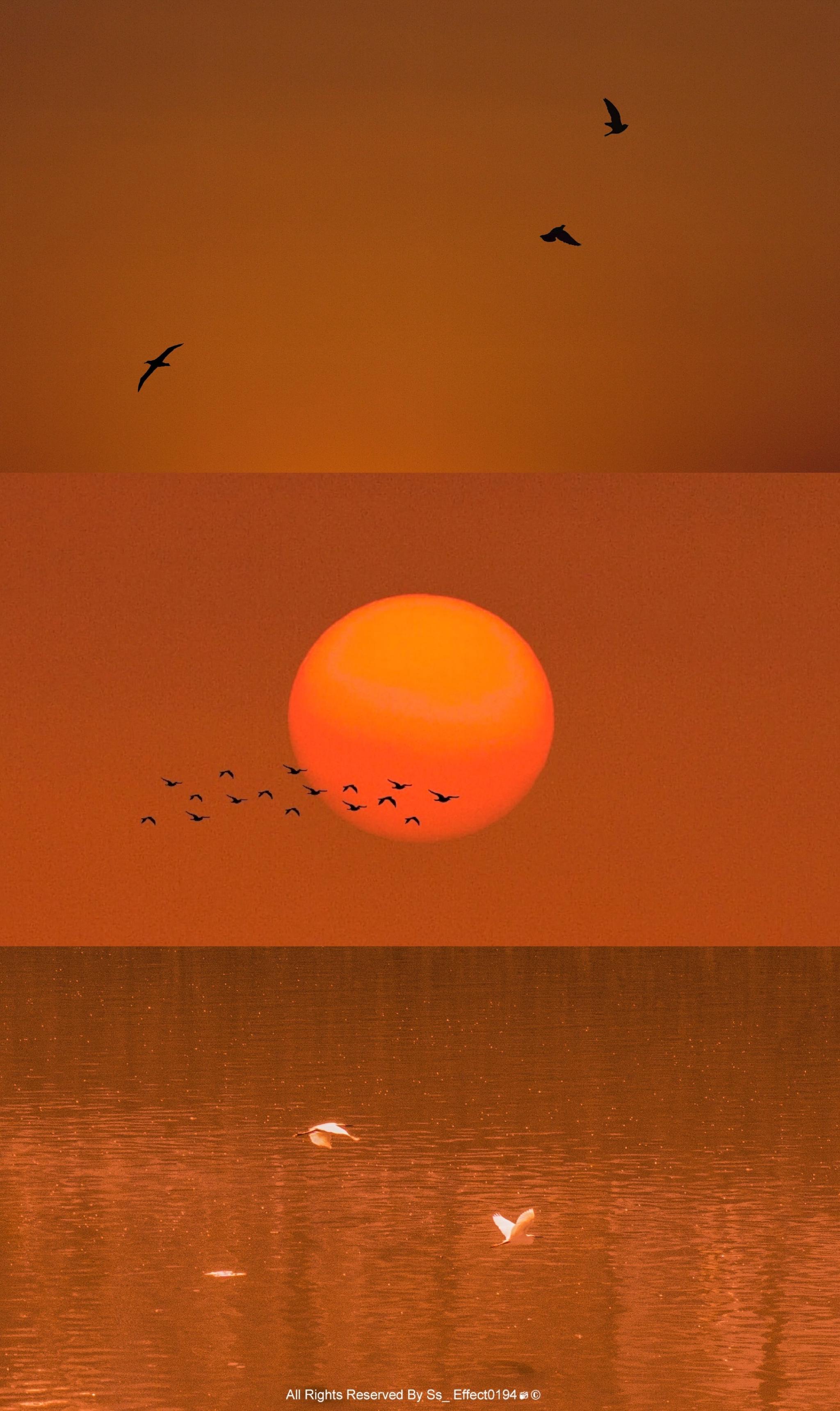 落日与晚霞共绘浪漫