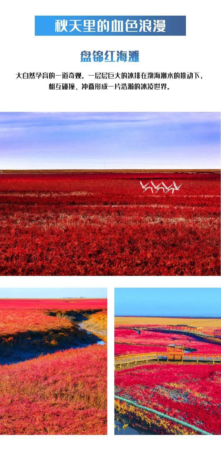 一个夏天都没出门？不如做一回“第一个看秋色的人”，可好？休闲区蓝鸢梦想 - Www.slyday.coM