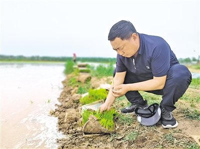 赵建文稻田画里绘初心