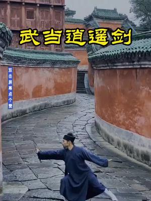 男子演练武当逍遥剑飘逸潇洒很漂亮武当逍遥剑功夫