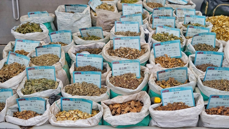 中药批发怎么样