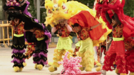 “不吉利”被赶下台，00后靓女霸气拿大奖|醒狮|舞狮|女孩|吴淑贤|00后|狮头|舞狮队|教练|女子|邝俊宇_新浪新闻