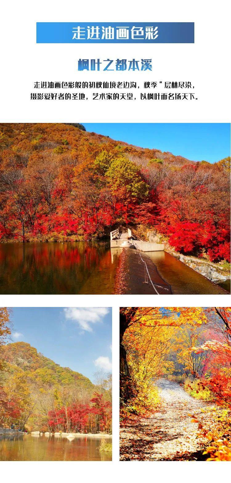 一个夏天都没出门？不如做一回“第一个看秋色的人”，可好？休闲区蓝鸢梦想 - Www.slyday.coM