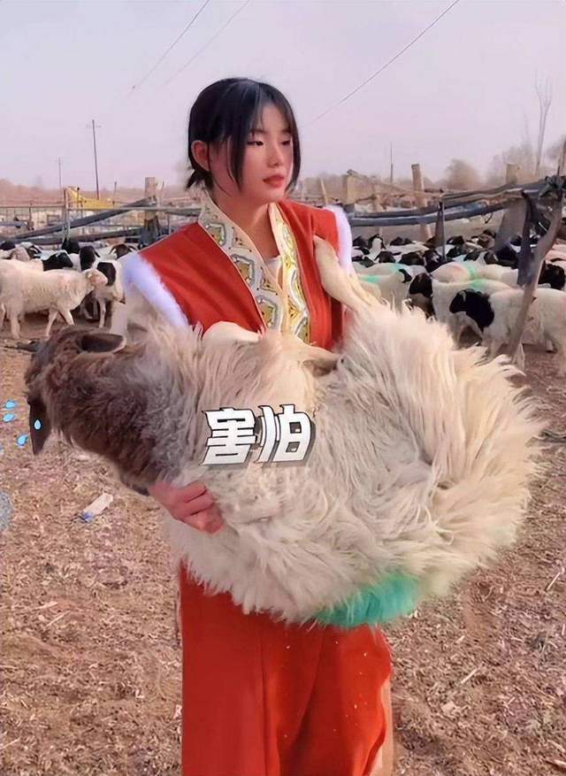 8分钟杀嘎头羊!嘎羊少女,如何逃过"8分钟网红杀"宿命__财经头条