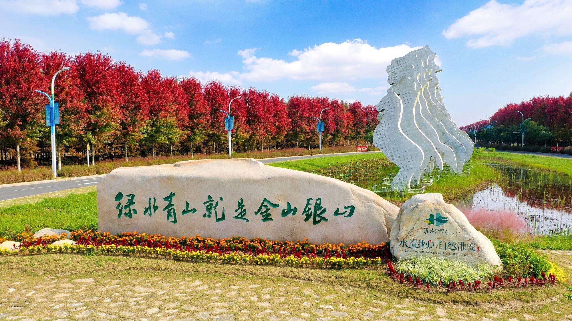 美丽江苏每日一景丨淮安白马湖生态旅游景区红枫似火美不胜收