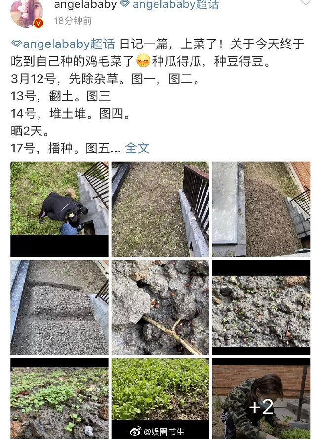 从除草 翻土 播种 浇水 历时一个月