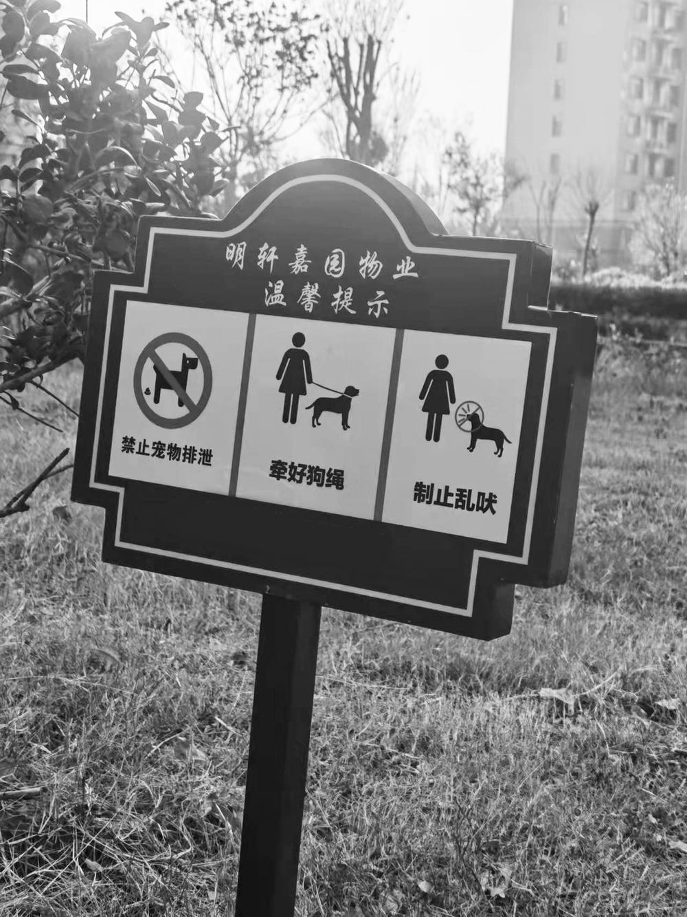 恶犬伤人事件引发广泛关注。菏泽养犬现状如何?记者为此进行深入调查休闲区蓝鸢梦想 - Www.slyday.coM 恶犬伤人事件引发广泛关注。菏泽养犬现状如何?记者为此进行深入调查休闲区蓝鸢梦想 - Www.slyday.coM